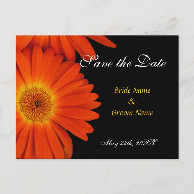 Carte Postale Faire-part enregistrer la date, gerbera daisy (Devant)
