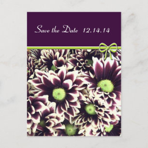 Carte Postale Faire-part Enregistrer la date Purple and Lime Daisies
