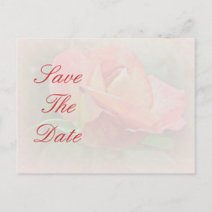 Carte Postale Faire-part Enregistrer la date - Rose de paix en fleurs