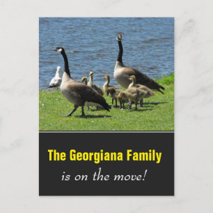 Carte Postale Faire-part Famille sur le mouvement + Oies du Canada sur