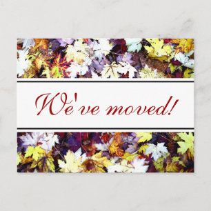 Carte Postale Faire-part Feuille de chute déplaçant la scène d'automne des