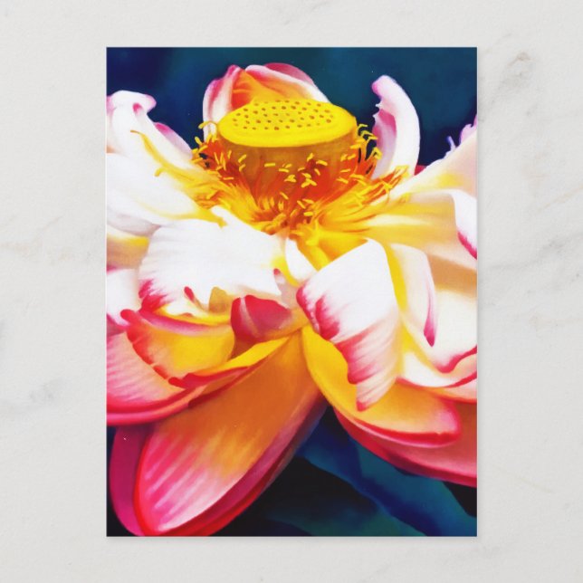 Carte Postale Faire-part Fleur de lotus rose en fleurs à l'aquarelle (Devant)