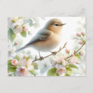 Carte Postale Faire-part Fleur d'eau de cerisier à floraison printanière
