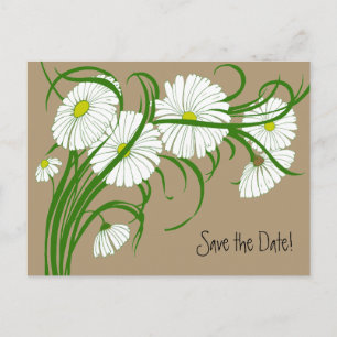 Carte Postale Faire-part Fleurs de Marguerite Gerber Blanche Vintage Enregi