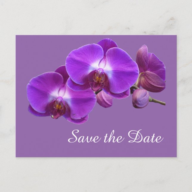 Carte Postale Faire-part Fleurs d'orchidée violette élégantes pour sauver l (Devant)