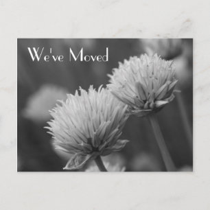 Carte Postale Faire-part Fleurs Noires Et Blanches Nouvelle Adresse