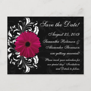 Carte Postale Faire-part Fuchsia Scroll Gerbera Daisy Black Enregistrer la 