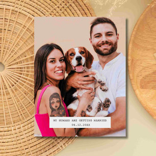 Carte Postale Faire-part Funny Chien photo mariage Enregistrer la date