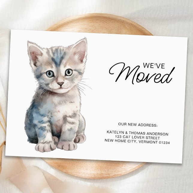 Carte Postale Faire-part Gray Kitten Chat Déménager Nouvelle Maison Nous av (Créateur téléchargé)