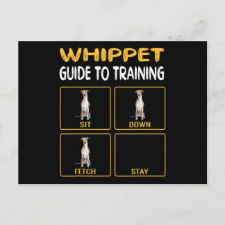 Carte Postale Faire-part guide du whippet pour dresser un chien obéissant