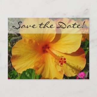 Carte Postale Faire-part Hibiscus orange * Sauvegarder la date