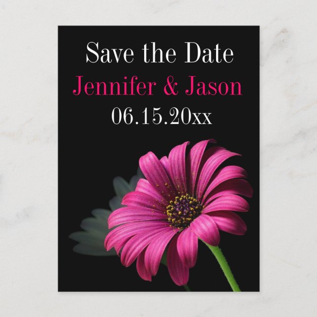Carte Postale Faire-part Hot rose Fuchsia Gerber Daisy Enregistrer les cart (Devant)
