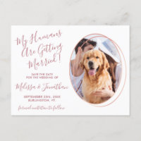 Humains Se Marier Photo Animal Mariage Rose Or