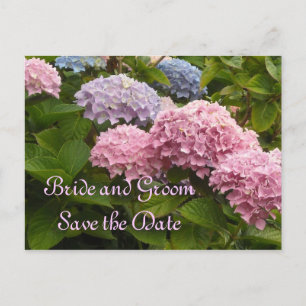 Carte Postale Faire-part Hydrangeas de mariage Enregistrez la date