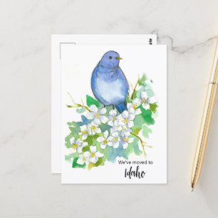 Carte Postale Faire-part Idaho Montagne Fleur Bluebird