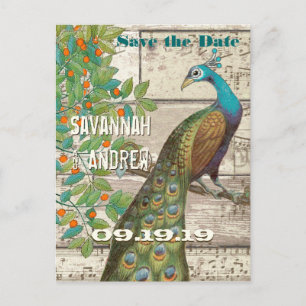 Carte Postale Faire-part Inséparable Peacock assis dans un arbre Enregistre