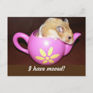 Carte Postale Faire-part J'ai déménagé Hamster