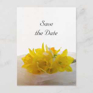 Carte Postale Faire-part Jaunes jonquilles sur mariage blanc Enregistrer la