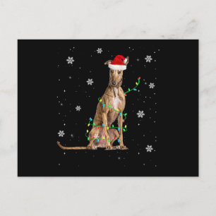 Carte Postale Faire-part Jeu de Noël léger de Whippet Père Noël Whippet Xma