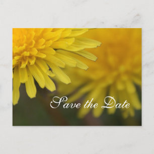 Carte Postale Faire-part Joli jaune fleur sauvage dandelion enregistrer la 