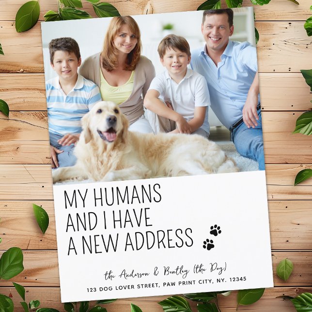 Carte Postale Faire-part Jolie Drôle Nouvelle Adresse Photo de Chien Person (Créateur téléchargé)