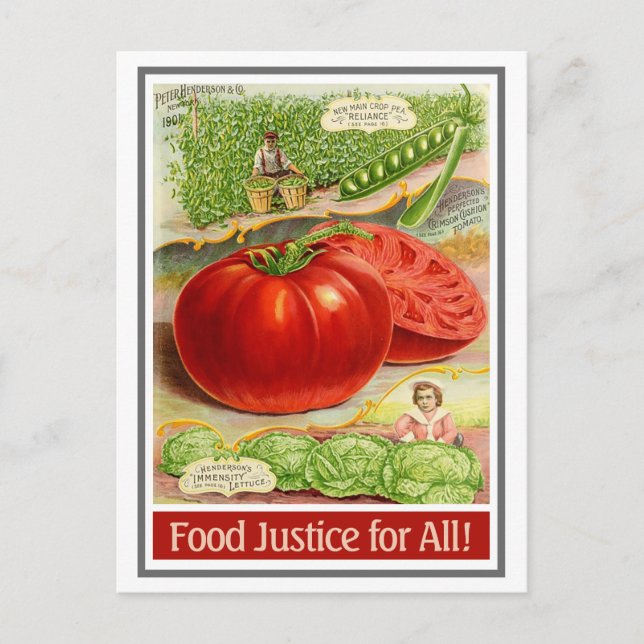 Carte Postale Faire-part Justice alimentaire - Tomates Vintages & Jardin (Devant)