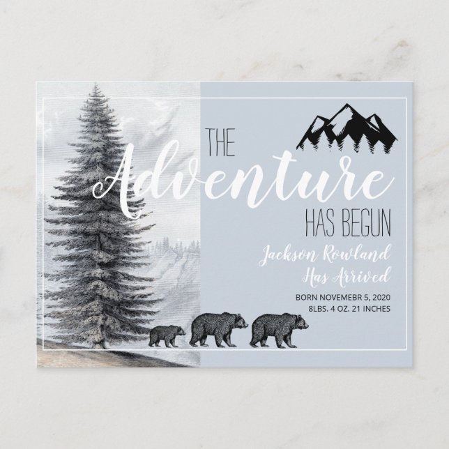 Carte Postale Faire-part L'aventure commence annonce de naissance des ours  (Devant)