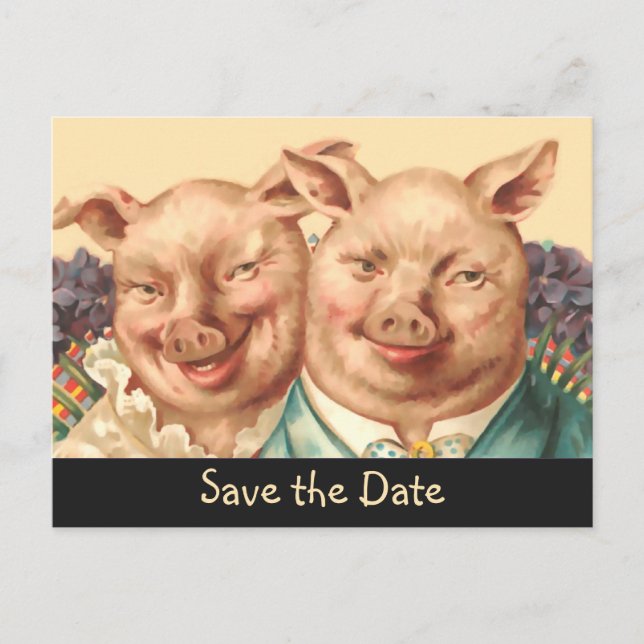 Carte Postale Faire-part Le joli couple de cochons sauve la date (Devant)