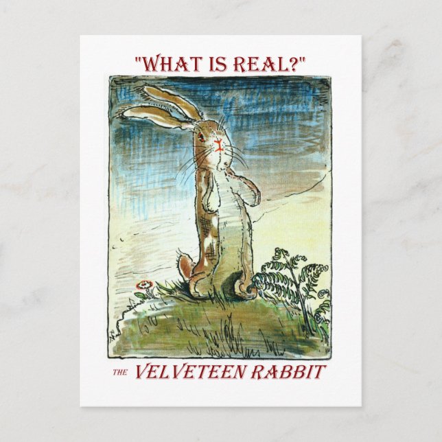 Carte Postale Faire-part Le lapin Velveteen (Devant)