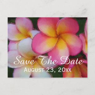 Carte Postale Faire-part Les fleurs de Plumeria de Frangipani sauvent le