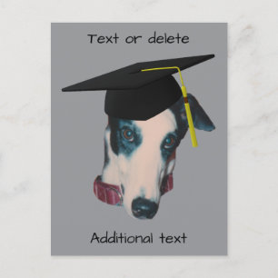 Carte Postale Faire-part Lévrier en toque de diplômé Chien drôle personnali