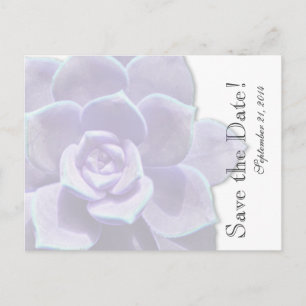 Carte Postale Faire-part Lilac translucide Succulent enregistrer la date