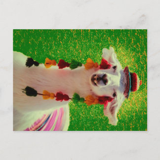 Carte Postale Faire-part Llama à Chiloe-Chili avec ornements