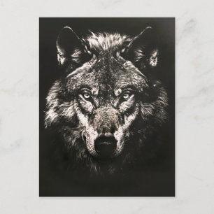 Carte Postale Faire-part Loup Sauvage Monochrome Majestueux