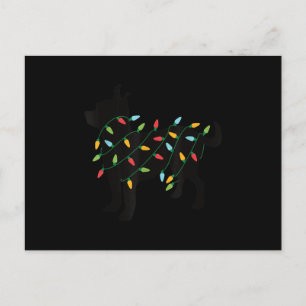 Carte Postale Faire-part lumières de noël chihuahua cadeaux mignons amateur