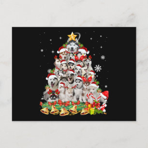Carte Postale Faire-part Lumières de sapin de Noël husky sibérien   chien d