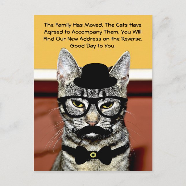 Carte Postale Faire-part M. Chat annonce son déménagement avec sa nouvelle  (Devant)