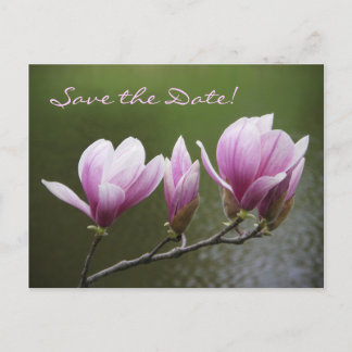 Carte Postale Faire-part Magnolias, réservez la date !