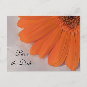 Carte Postale Faire-part Marguerite orange et mariage satiné blanc Enregist