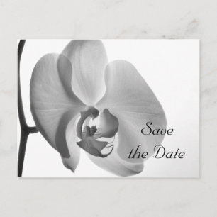 Carte Postale Faire-part Mariage à la Fleur d'Orchidée Blanche Enregistrer 