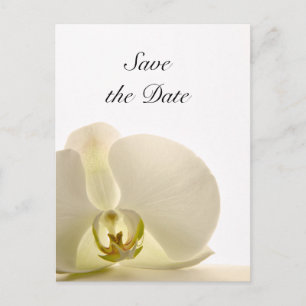 Carte Postale Faire-part Mariage à la Fleur d'Orchidée Blanche Enregistrer 