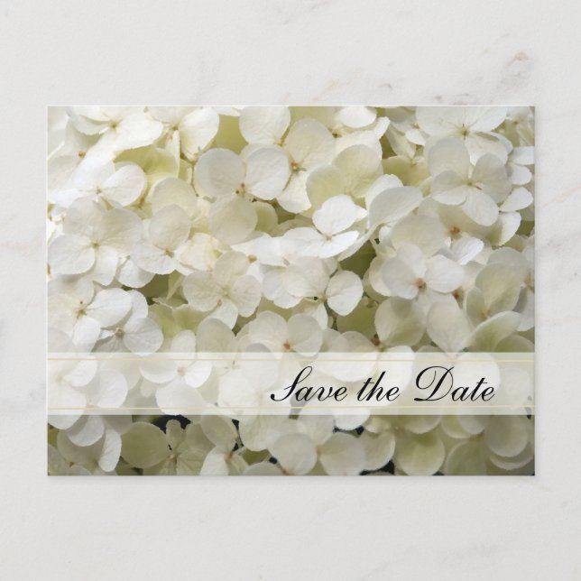 Carte Postale Faire-part Mariage aux fleurs d'Hydrangea blanche Enregistrer (Devant)