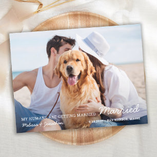 Carte Postale Faire-part Mariage d'animaux de compagnie Date de sauvetage d