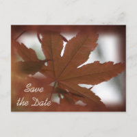 Mariage de automne japonais Maple Leaf Enregistrer