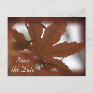 Carte Postale Faire-part Mariage de automne japonais Maple Leaf Enregistrer