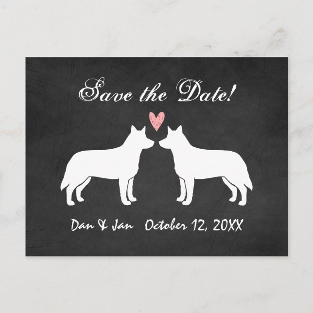 Carte Postale Faire-part Mariage de chiens de bétail australiens Enregistre (Devant)