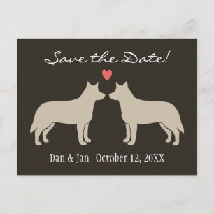 Carte Postale Faire-part Mariage de chiens de bétail australiens Enregistre