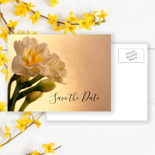 Carte Postale Faire-part Mariage de printemps Tulipe double blanche - Éparg