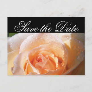 Carte Postale Faire-part Mariage Rose Ensoleillée