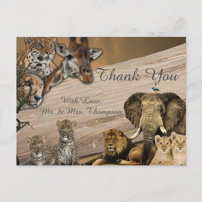 Carte Postale Faire-part Merci Safari Wildlife (Devant)